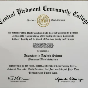 Replica University Degree + 24-Hour Rush | Master’s & PhD Diplomas | Printable High-Res Digital File