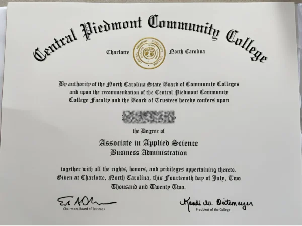 Replica University Degree + 24-Hour Rush | Master’s & PhD Diplomas | Printable High-Res Digital File