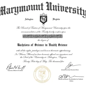Custom Replica Certificates – Transcript, Marriage, Birth, Awards & More | High-Quality Printable Design
