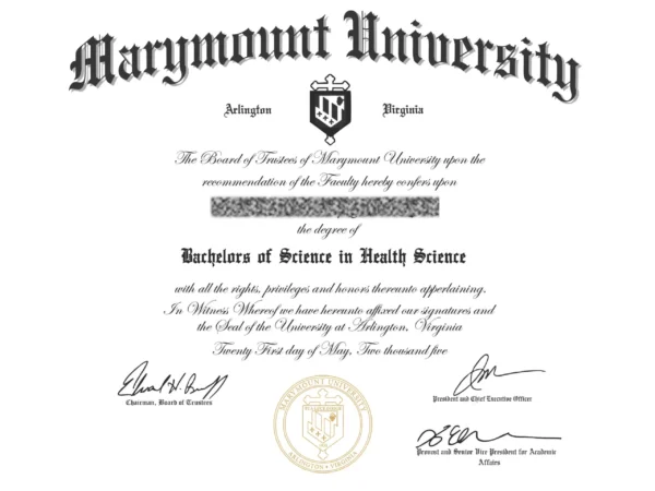 Custom Replica Certificates – Transcript, Marriage, Birth, Awards & More | High-Quality Printable Design